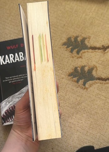 Wulf Dorn - Şizofren ve Karabasan Romanları - Görsel 3