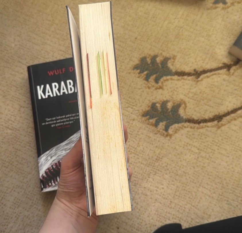 Wulf Dorn - Şizofren ve Karabasan Romanları - Görsel 3