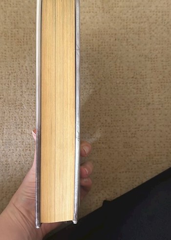 Barbarlar Şehri - Lee Kelly - Görsel 3