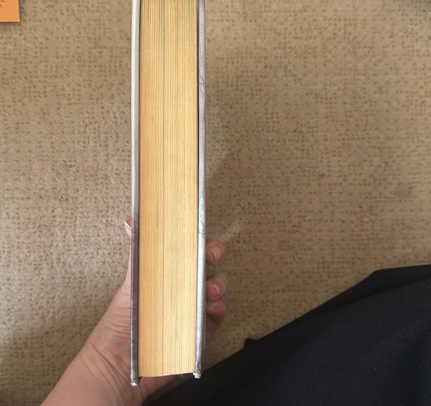 Barbarlar Şehri - Lee Kelly - Görsel 3