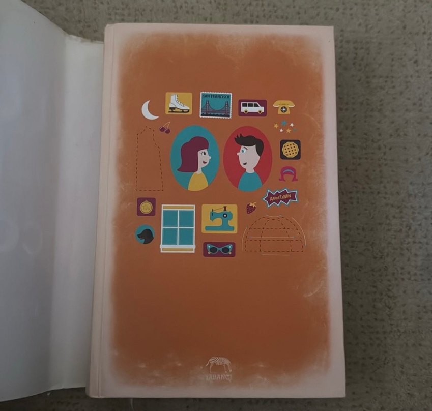 Lola ve Komşu Çocuk - Stephanie Perkins - Görsel 2