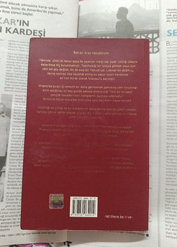 Lilly - Eddi Anter Romanı - Görsel 2