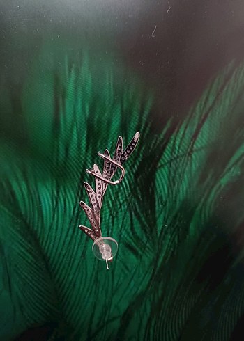 parlak taşlı paslanmaz, kararmaz küpe (hiç kullanılmadı) - Görsel 4