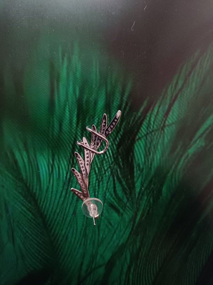 parlak taşlı paslanmaz, kararmaz küpe (hiç kullanılmadı) - Görsel 4