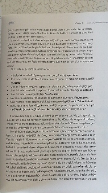 Beden Fizyolojik Psikoloji 