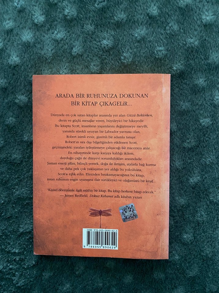 Scott Blum - Güzü Beklerken Romanı - Görsel 2