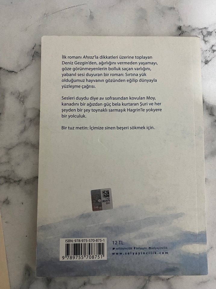 Deniz Gezgin - Yerkuşağı - Görsel 2