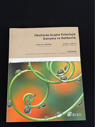 Okullarda grupla psk dan ve rehberlik