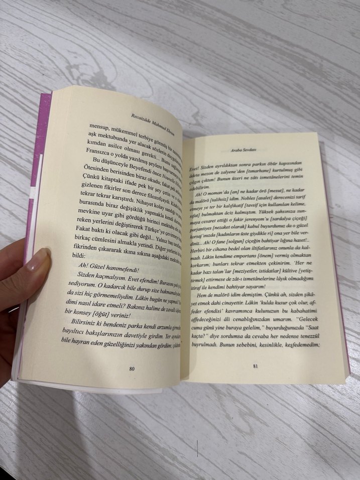 Araba Sevdası - Recaizade Mahmud Ekrem - Görsel 2