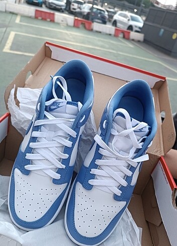 Nike Dunk Retro Blue