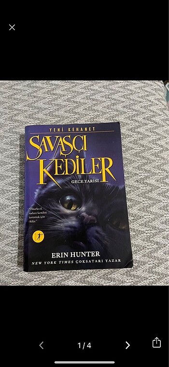 savasci kediler