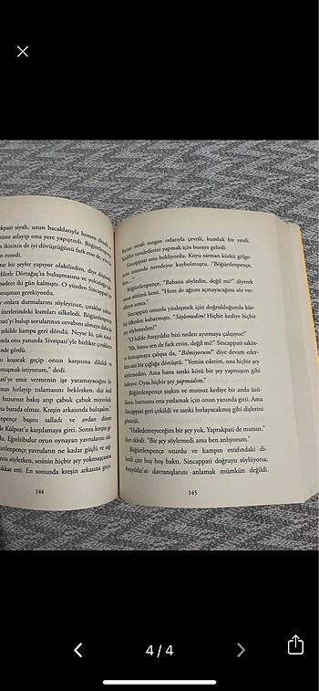  Beden Renk savasci kediler