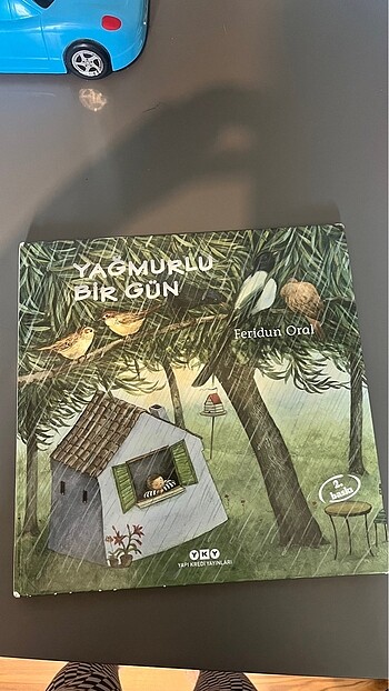 Yağmurlu bir gün- ciltli kitap