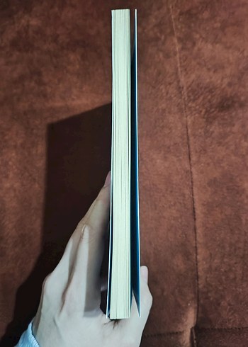 Deli Çocuğun Güncesi - Özgür Bacaksız - Görsel 4