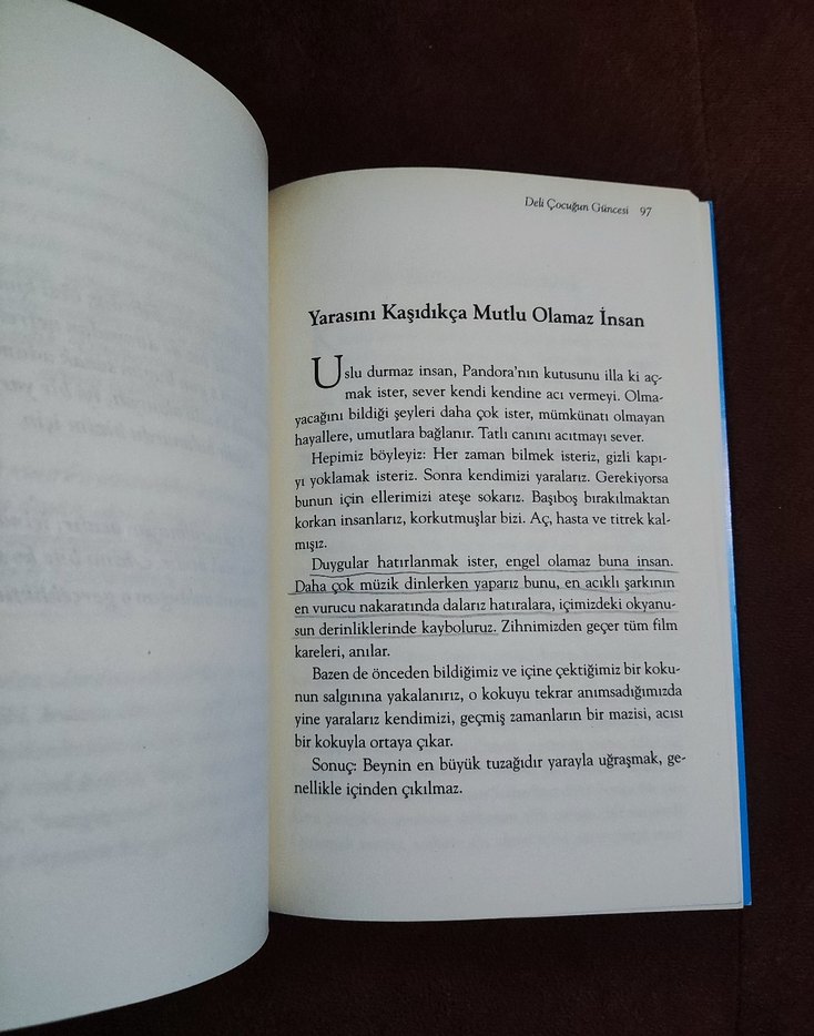 Deli Çocuğun Güncesi - Özgür Bacaksız - Görsel 3