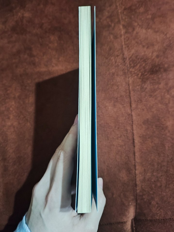 Deli Çocuğun Güncesi - Özgür Bacaksız - Görsel 4