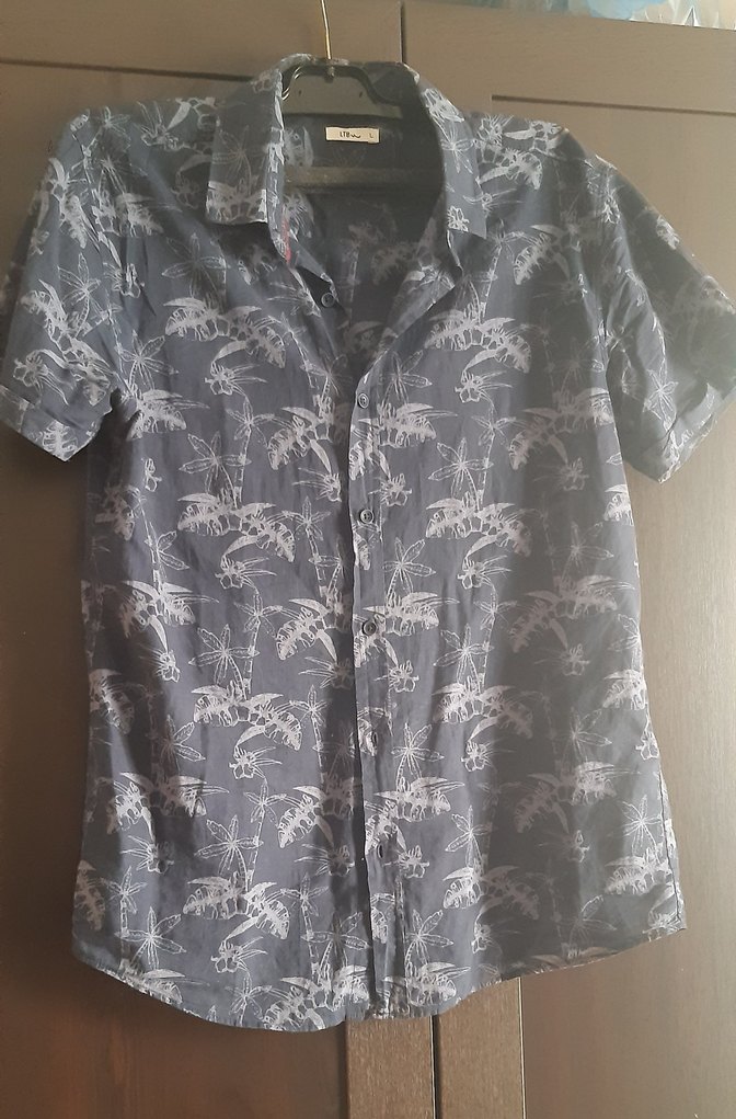 Desenli Kısa Kollu Erkek Gömlek - Görsel 2