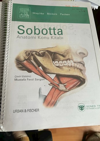 Sobotta Anatomi Kitabı 2 Cilt ve biyokimya - Görsel 4