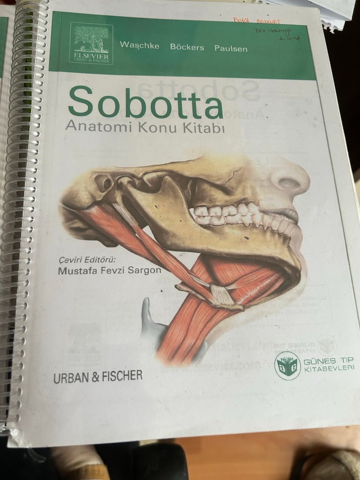 Sobotta Anatomi Kitabı 2 Cilt ve biyokimya - Görsel 4