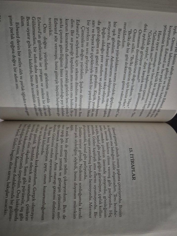 Alacakaranlık serisi - Görsel 5