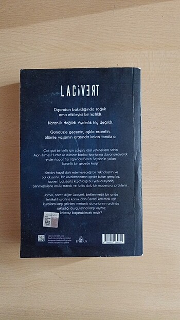 T.y mazer lacivert