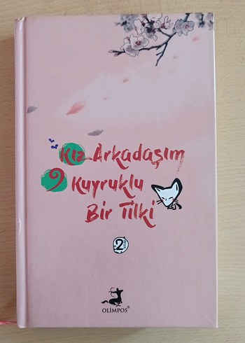 Kız Arkadaşım Kuyruklu Bir Tilki Romanı