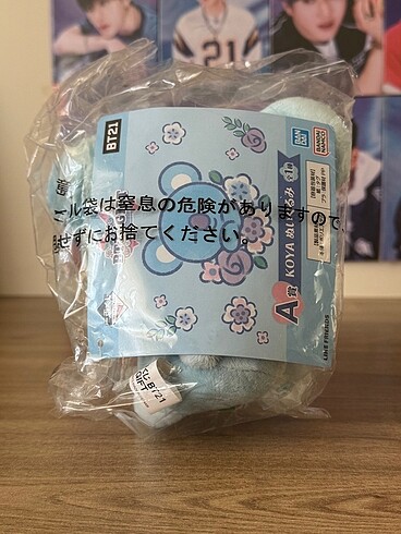 Diğer BTS BT21 RM Koya Peluş
