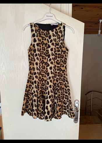 Zara Leopar Desenli Kolsuz Mini Elbise