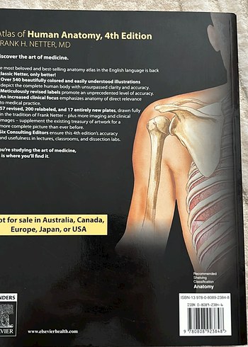 Beden Frank H. Netter İnsan Anatomisi Tıp Kitabı