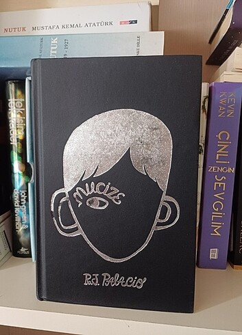 Beden Renk Mucize ciltli kitap