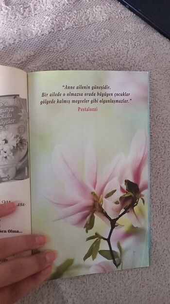 MANOLYA KOKULU HİKAYELER - Görsel 5