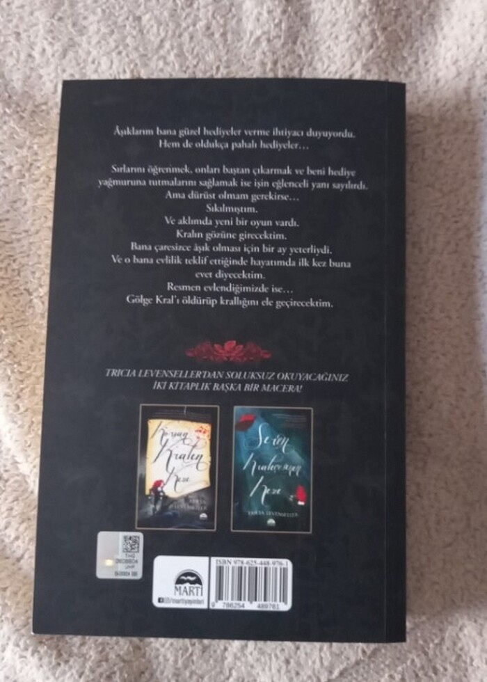 ARAMIZDAKİ GÖLGELER- TRICIA LEVENSELLER - Görsel 3