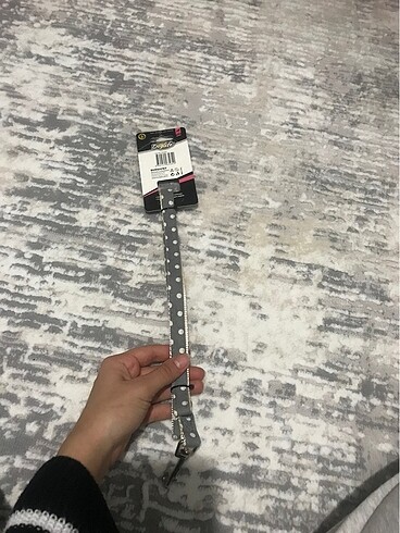  Köpek gezdirme kayışı