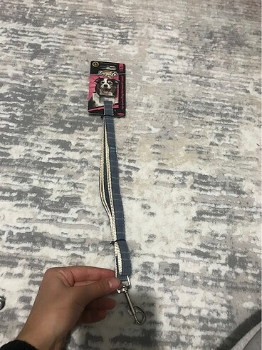 Köpek gezdirme kayışı