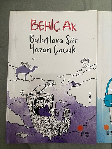  Behiç Ak Çocuk Kitapları