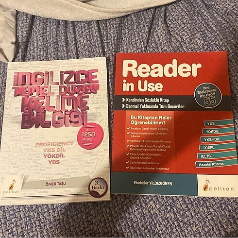 Reader in Use