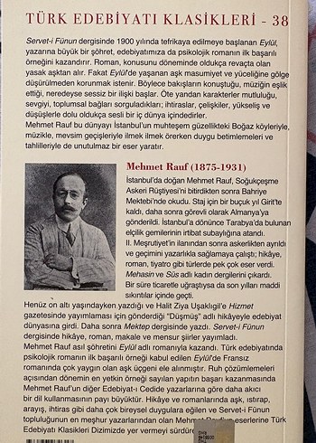 Mehmet Rauf - Eylül Romanı - Görsel 2