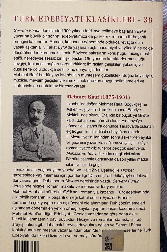 Mehmet Rauf - Eylül Romanı - Görsel 2