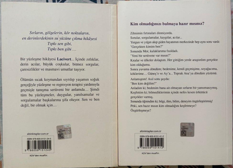 Lacivert ve Mor Kitap Seti - Pınar Gogan - Görsel 2
