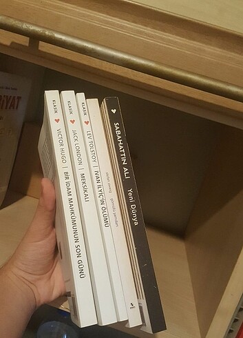 Beden Renk Türk - dünya - felsefe klasikleri toplam 23 kitap