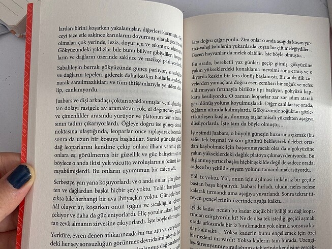  Cengiz Aytmatov Dağlar Yıkıldığında