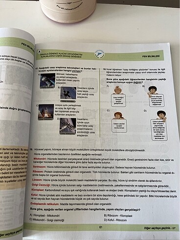  Beden Fen Bilimleri Pruva sorular konuşuyor