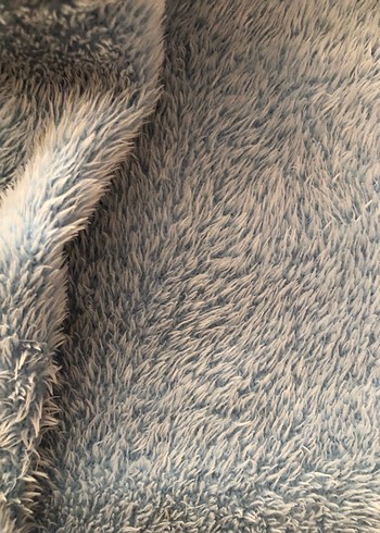 bebe mavısı - Görsel 3