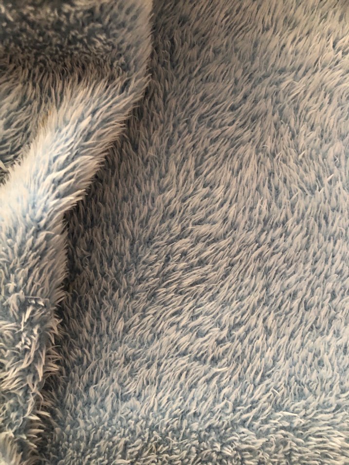 bebe mavısı - Görsel 3