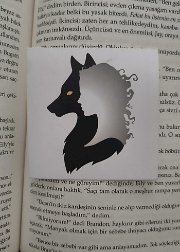 M. Rise - Gözlük ve Ay Romanları - Görsel 4