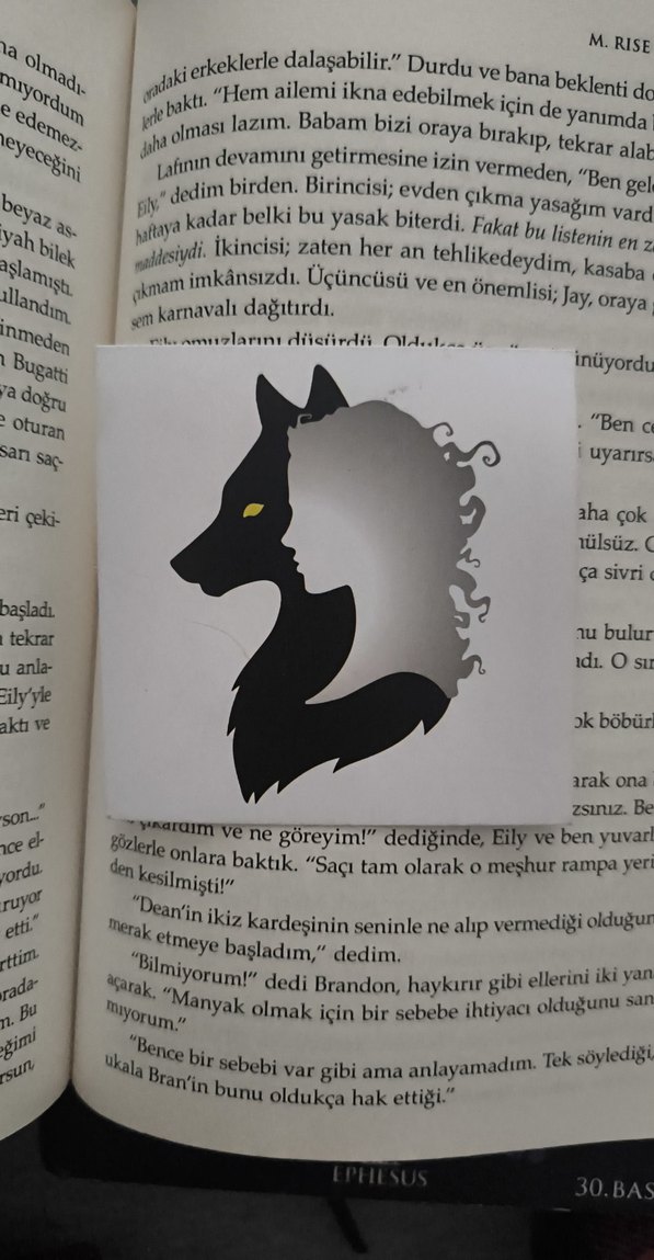 M. Rise - Gözlük ve Ay Romanları - Görsel 4