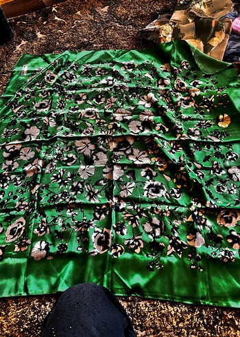 Kaygan eşarplardandır - Görsel 9