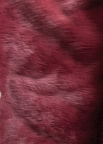 Us polo bordo mont - Görsel 5