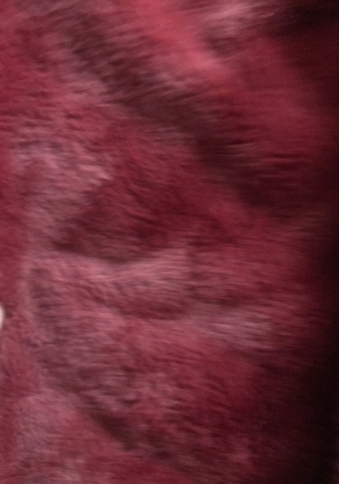 Us polo bordo mont - Görsel 5