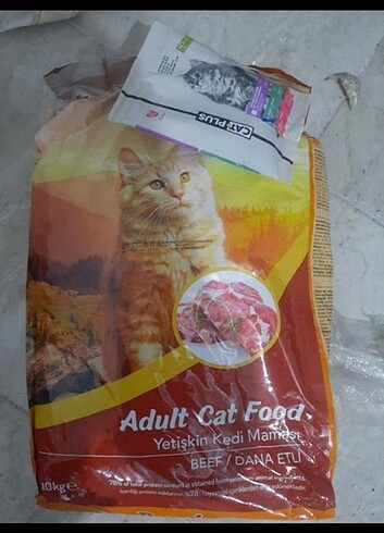 Beden Renk Yetişkin kedi maması